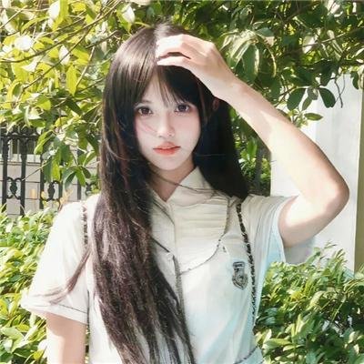 不死鸟之恋